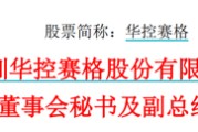 上杭华控赛格董事长、董秘、副总经理三高管同日辞职